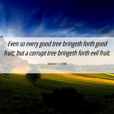 Picture 06 - Matthew 7:17 KJV - Even so every good tree bringeth forth good - Bible Verse Picture