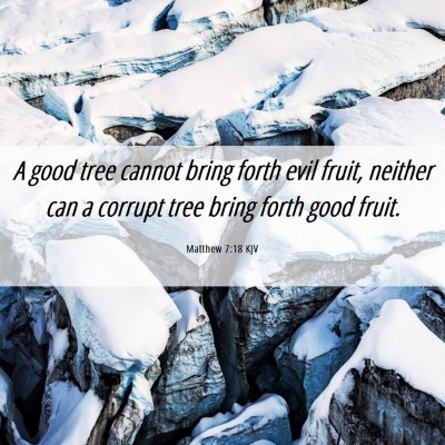 Picture 06 - Matthew 7:18 KJV - A good tree cannot bring forth evil fruit, - Bible Verse Picture