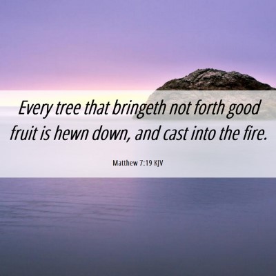 Picture 06 - Matthew 7:19 KJV - Every tree that bringeth not forth good fruit is - Bible Verse Picture