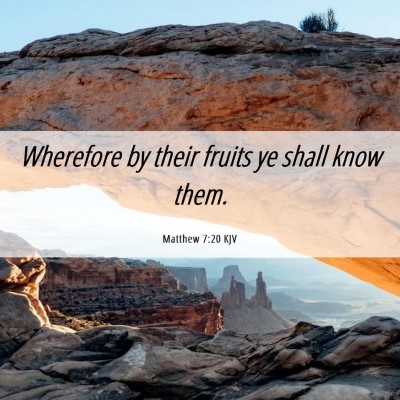 Picture 06 - Matthew 7:20 KJV - Wherefore by their fruits ye shall know - Bible Verse Picture