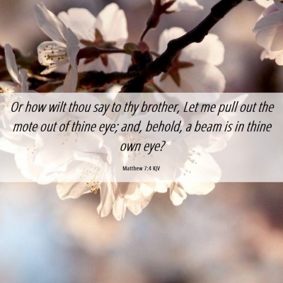 Picture 06 - Matthew 7:4 KJV - Or how wilt thou say to thy brother, Let me pull - Bible Verse Picture