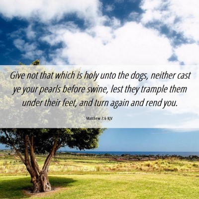 Picture 06 - Matthew 7:6 KJV - Give not that which is holy unto the dogs, - Bible Verse Picture