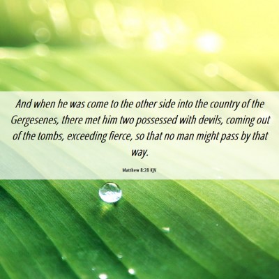 Picture 06 - Matthew 8:28 KJV - And when he was come to the other side into the - Bible Verse Picture