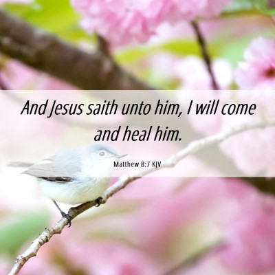 Picture 06 - Matthew 8:7 KJV - And Jesus saith unto him, I will come and heal - Bible Verse Picture