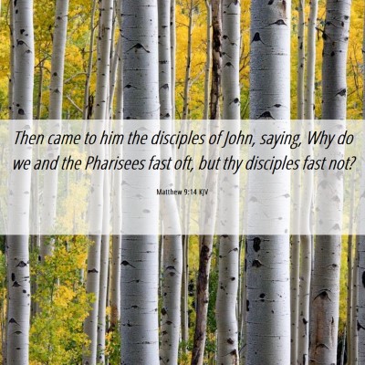 Picture 06 - Matthew 9:14 KJV - Then came to him the disciples of John, saying, - Bible Verse Picture