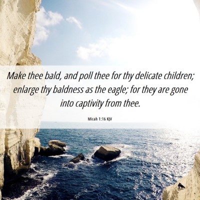 Picture 06 - Micah 1:16 KJV - Make thee bald, and poll thee for thy delicate - Bible Verse Picture