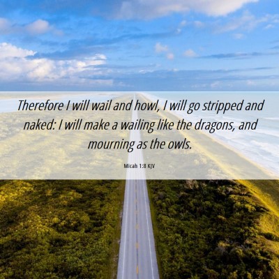 Picture 06 - Micah 1:8 KJV - Therefore I will wail and howl, I will go - Bible Verse Picture