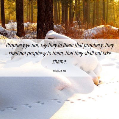 Picture 06 - Micah 2:6 KJV - Prophesy ye not, say they to them that prophesy: - Bible Verse Picture