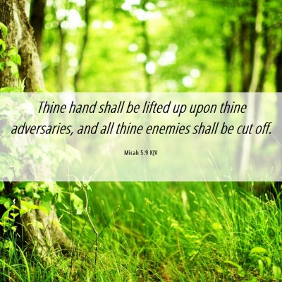 Picture 06 - Micah 5:9 KJV - Thine hand shall be lifted up upon thine - Bible Verse Picture