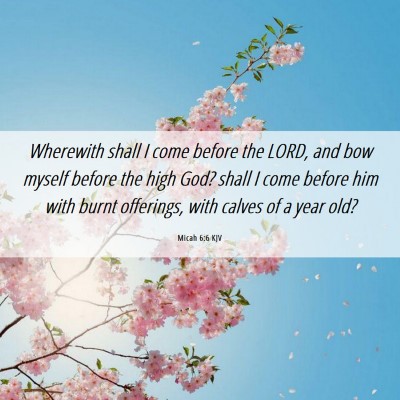 Picture 06 - Micah 6:6 KJV - Wherewith shall I come before the LORD, and bow - Bible Verse Picture