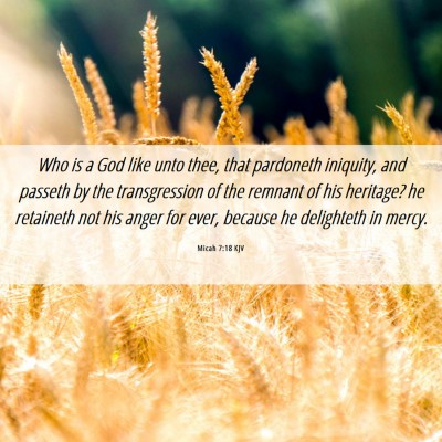 Picture 06 - Micah 7:18 KJV - Who is a God like unto thee, that pardoneth - Bible Verse Picture