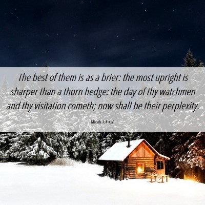 Picture 06 - Micah 7:4 KJV - The best of them is as a brier: the most upright - Bible Verse Picture