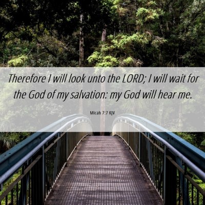 Picture 06 - Micah 7:7 KJV - Therefore I will look unto the LORD; I will wait - Bible Verse Picture