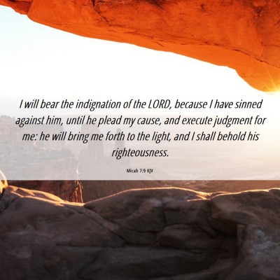 Picture 06 - Micah 7:9 KJV - I will bear the indignation of the LORD, because - Bible Verse Picture
