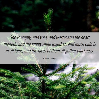 Picture 06 - Nahum 2:10 KJV - She is empty, and void, and waste: and the heart - Bible Verse Picture