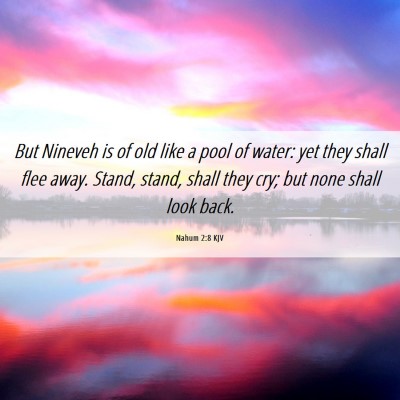 Picture 06 - Nahum 2:8 KJV - But Nineveh is of old like a pool of water: yet - Bible Verse Picture