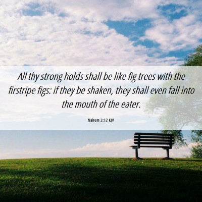 Picture 06 - Nahum 3:12 KJV - All thy strong holds shall be like fig trees with - Bible Verse Picture
