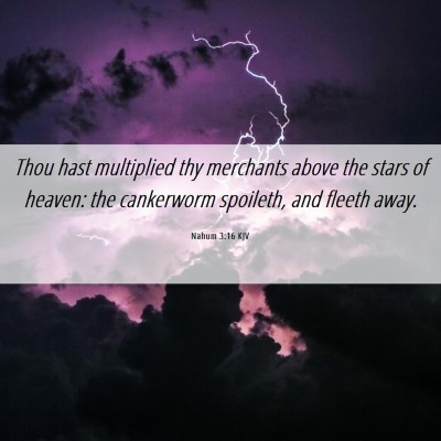 Picture 06 - Nahum 3:16 KJV - Thou hast multiplied thy merchants above the - Bible Verse Picture