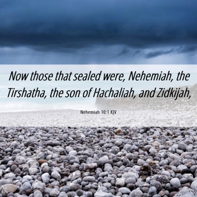 Picture 06 - Nehemiah 10:1 KJV - Now those that sealed were, Nehemiah, the - Bible Verse Picture