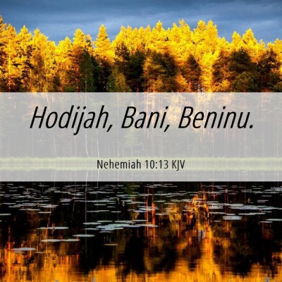 Picture 06 - Nehemiah 10:13 KJV - Hodijah, Bani, - Bible Verse Picture