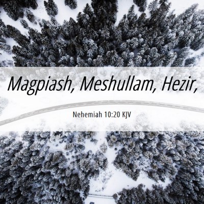 Picture 06 - Nehemiah 10:20 KJV - Magpiash, Meshullam, - Bible Verse Picture