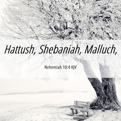 Picture 06 - Nehemiah 10:4 KJV - Hattush, Shebaniah, - Bible Verse Picture