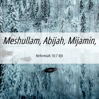 Picture 06 - Nehemiah 10:7 KJV - Meshullam, Abijah, - Bible Verse Picture
