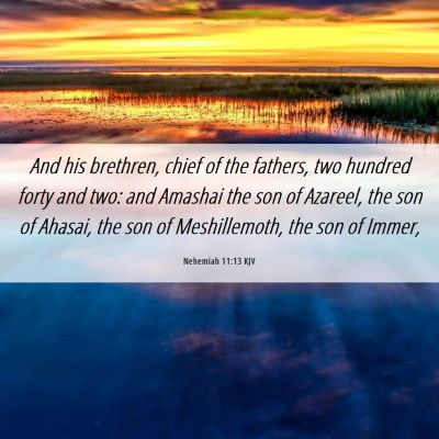 Picture 06 - Nehemiah 11:13 KJV - And his brethren, chief of the fathers, two - Bible Verse Picture