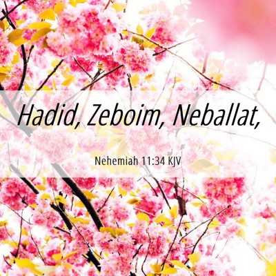 Picture 06 - Nehemiah 11:34 KJV - Hadid, Zeboim, - Bible Verse Picture