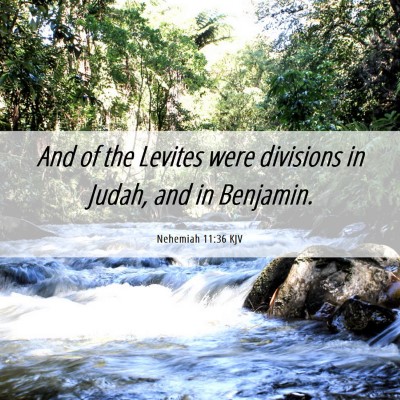 Picture 06 - Nehemiah 11:36 KJV - And of the Levites were divisions in Judah, and - Bible Verse Picture