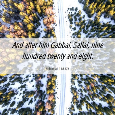 Picture 06 - Nehemiah 11:8 KJV - And after him Gabbai, Sallai, nine hundred twenty - Bible Verse Picture