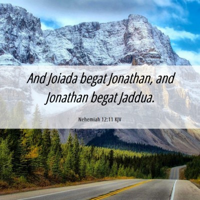 Picture 06 - Nehemiah 12:11 KJV - And Joiada begat Jonathan, and Jonathan begat - Bible Verse Picture