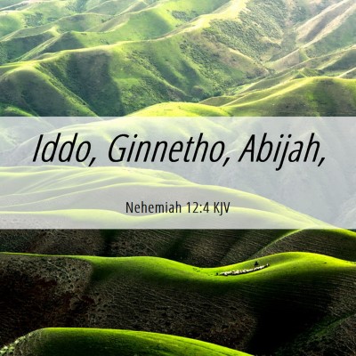 Picture 06 - Nehemiah 12:4 KJV - Iddo, Ginnetho, - Bible Verse Picture