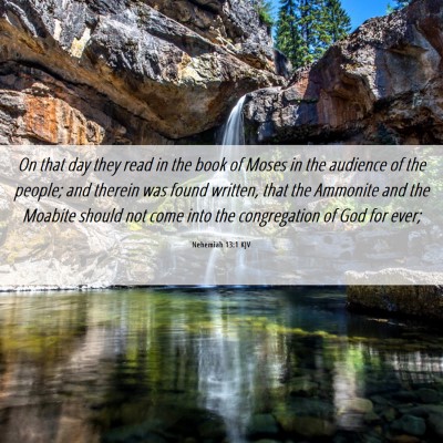 Picture 06 - Nehemiah 13:1 KJV - On that day they read in the book of Moses in the - Bible Verse Picture
