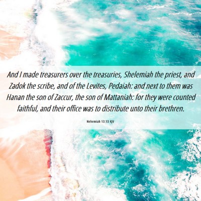 Picture 06 - Nehemiah 13:13 KJV - And I made treasurers over the treasuries, - Bible Verse Picture