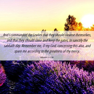 Picture 06 - Nehemiah 13:22 KJV - And I commanded the Levites that they should - Bible Verse Picture