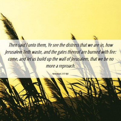 Picture 06 - Nehemiah 2:17 KJV - Then said I unto them, Ye see the distress that - Bible Verse Picture