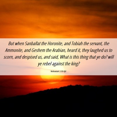 Picture 06 - Nehemiah 2:19 KJV - But when Sanballat the Horonite, and Tobiah the - Bible Verse Picture