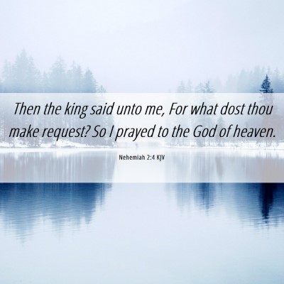 Picture 06 - Nehemiah 2:4 KJV - Then the king said unto me, For what dost thou - Bible Verse Picture