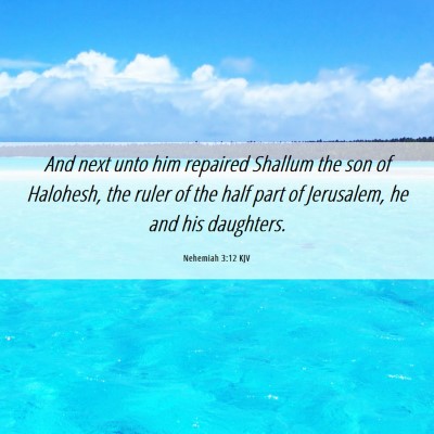 Picture 06 - Nehemiah 3:12 KJV - And next unto him repaired Shallum the son of - Bible Verse Picture