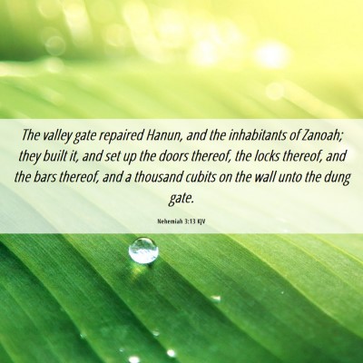 Picture 06 - Nehemiah 3:13 KJV - The valley gate repaired Hanun, and the - Bible Verse Picture