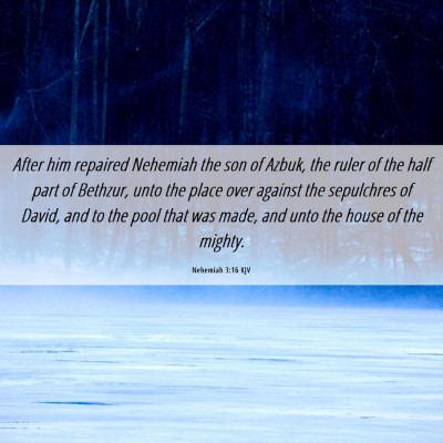 Picture 06 - Nehemiah 3:16 KJV - After him repaired Nehemiah the son of Azbuk, the - Bible Verse Picture