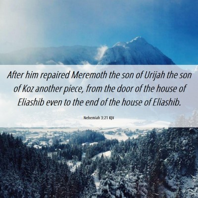 Picture 06 - Nehemiah 3:21 KJV - After him repaired Meremoth the son of Urijah the - Bible Verse Picture