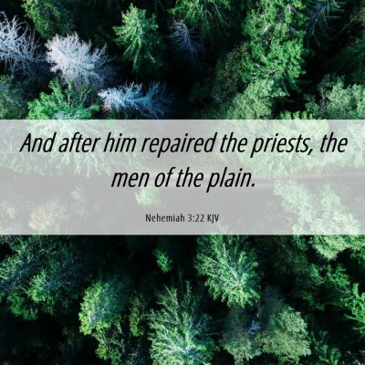 Picture 06 - Nehemiah 3:22 KJV - And after him repaired the priests, the men of - Bible Verse Picture