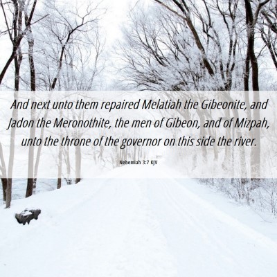 Picture 06 - Nehemiah 3:7 KJV - And next unto them repaired Melatiah the - Bible Verse Picture