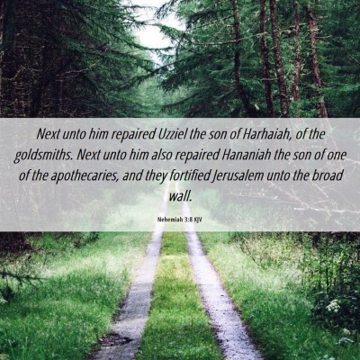 Picture 06 - Nehemiah 3:8 KJV - Next unto him repaired Uzziel the son of - Bible Verse Picture
