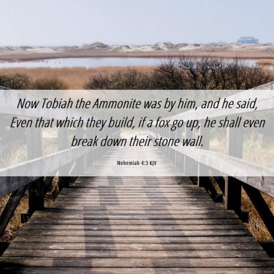 Picture 06 - Nehemiah 4:3 KJV - Now Tobiah the Ammonite was by him, and he said, - Bible Verse Picture