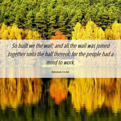 Picture 06 - Nehemiah 4:6 KJV - So built we the wall; and all the wall was joined - Bible Verse Picture