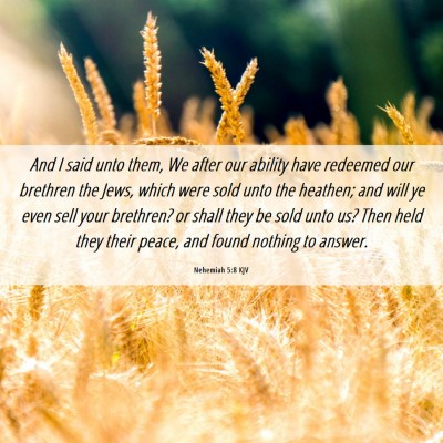 Picture 06 - Nehemiah 5:8 KJV - And I said unto them, We after our ability have - Bible Verse Picture