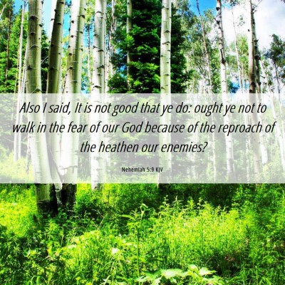 Picture 06 - Nehemiah 5:9 KJV - Also I said, It is not good that ye do: ought ye - Bible Verse Picture